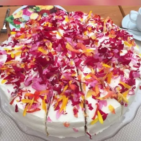 Bluetenhotel Village Hotel Cölbe