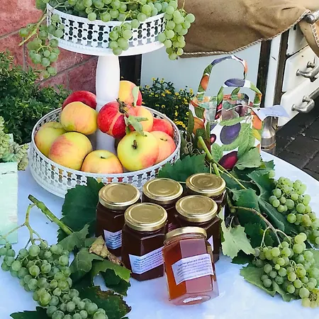 Отель Bluetenhotel Village Colbe