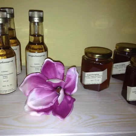 Bluetenhotel Village Cölbe