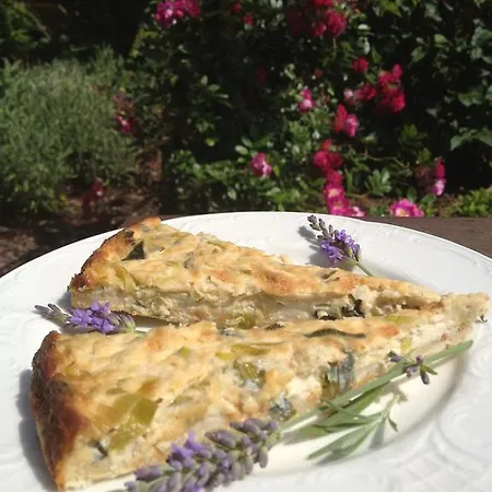 Bluetenhotel Village Cölbe