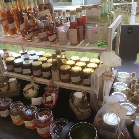 Bluetenhotel Village 3* Cölbe