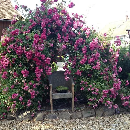 Bluetenhotel Village