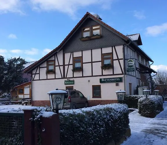 Hotel Bluetenhotel Village 3*