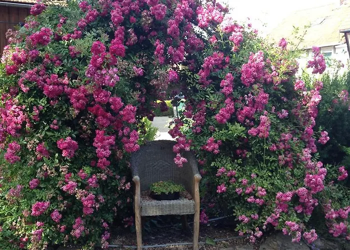 Bluetenhotel Village